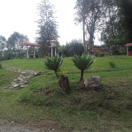 La Gaviota Bnb Bed & Breakfast Filandia Exterior foto