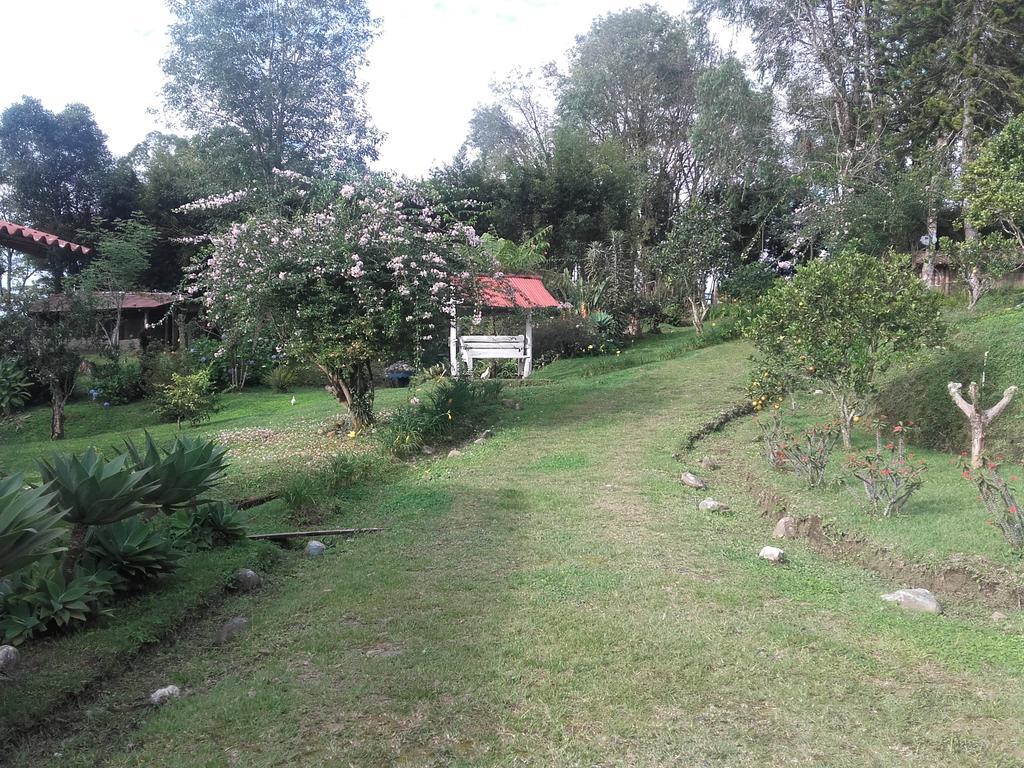 La Gaviota Bnb Bed & Breakfast Filandia Exterior foto